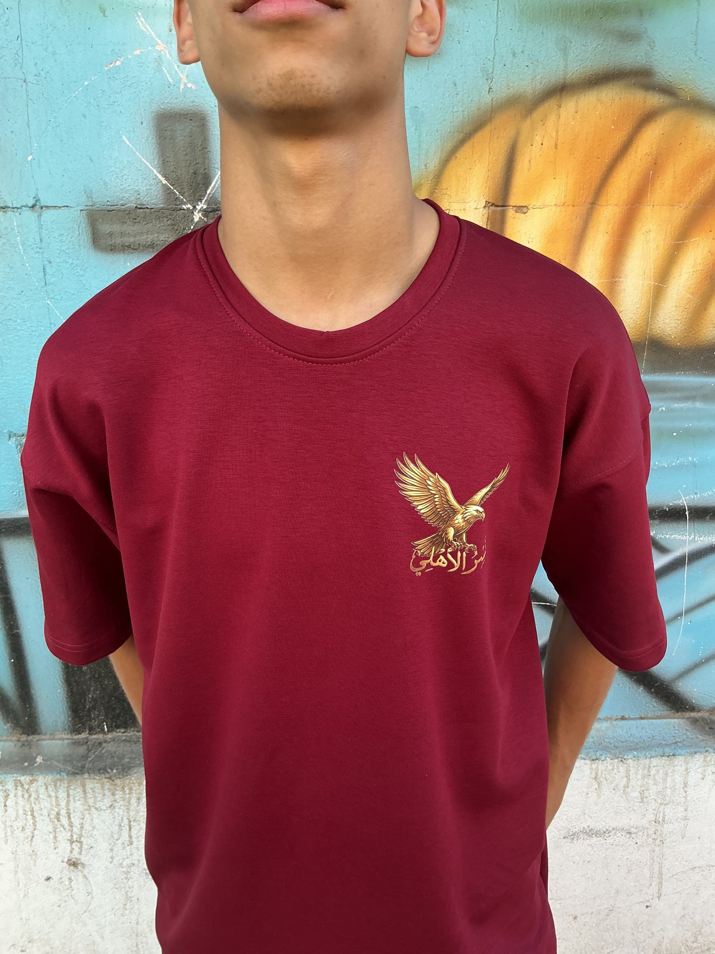 TRIXoRa | Alahly Oversized T-Shirt